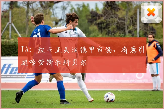 TA：纽卡正关注德甲市场，有意引进哈努斯和科贝尔
