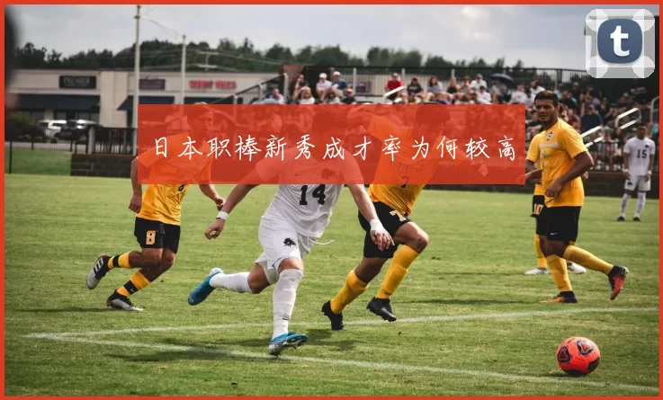 日本职棒新秀成才率为何较高