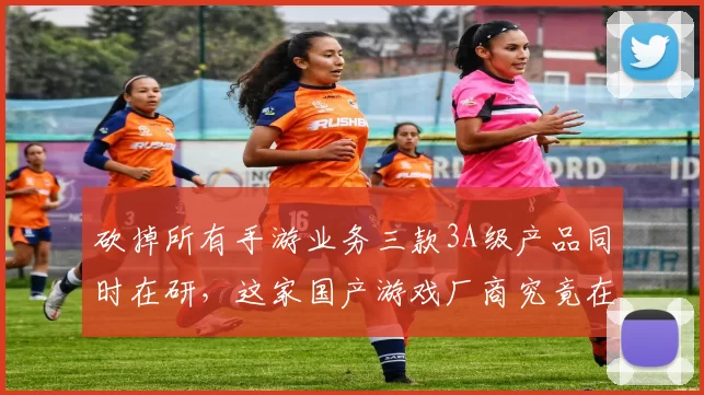 砍掉所有手游业务三款3A级产品同时在研，这家国产游戏厂商究竟在干嘛？