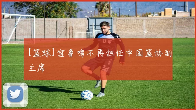 [篮球]宫鲁鸣不再担任中国篮协副主席