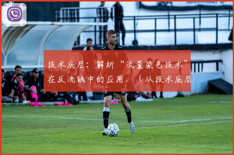 技术底层：解析“流量染色技术”在反洗钱中的应用。（从技术底层出发：解析流量染色技术在反洗钱中的应用）