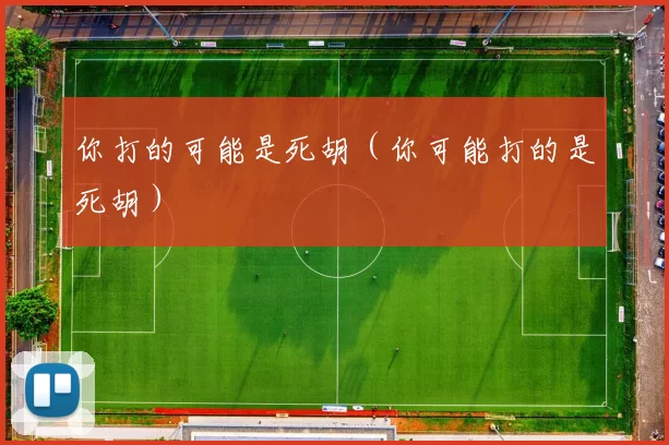 你打的可能是死胡（你可能打的是死胡）