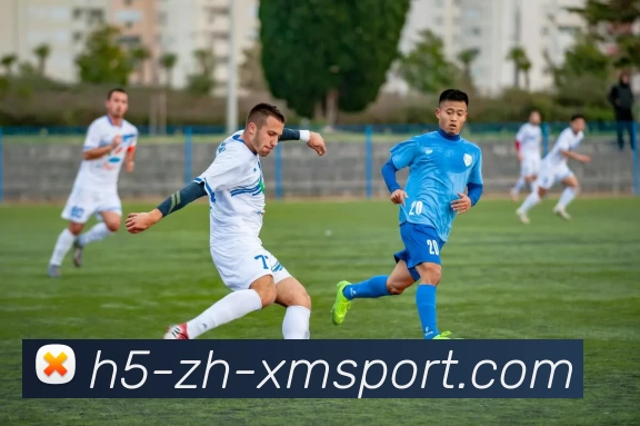 熊猫体育服务体系